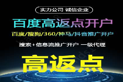 百度推广渠道拓展，成功案例分析